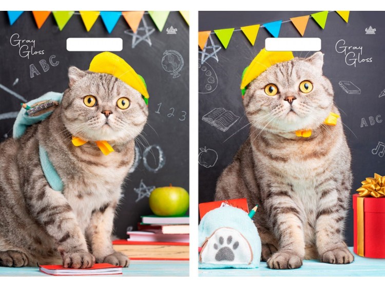 Мешок ПВД (выр.руч) 430*315, (50 мкр) Грэй Глосс Кот